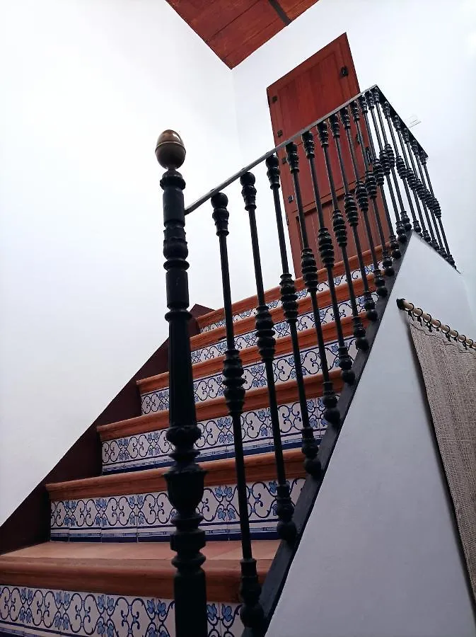 Amare Housing Sevilla 0*, Seville Spain